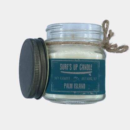 Bougie Surf's Up Palm Island en pot